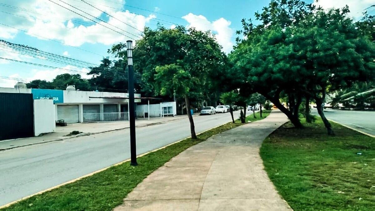 2 de 4: Fotografía panorámica de locales