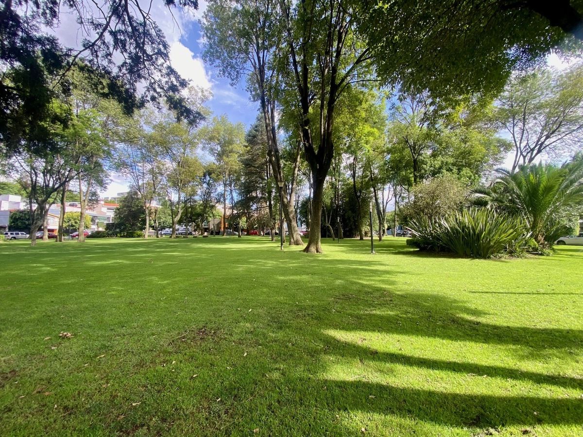4 de 26: Parque central de Atlamaya