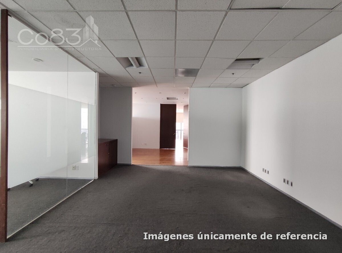 5 de 12