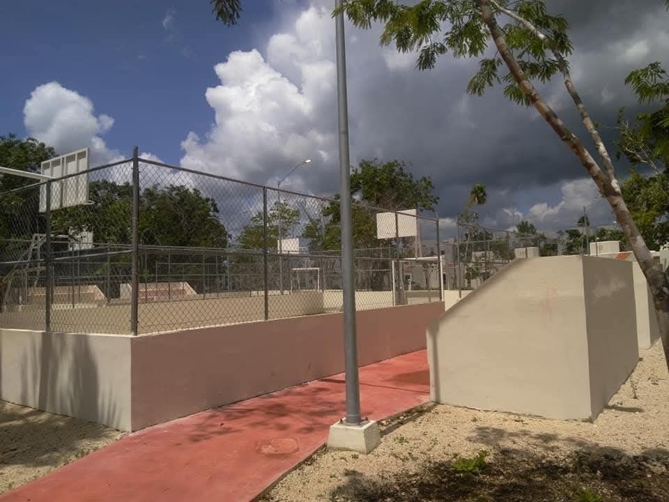 5 de 11