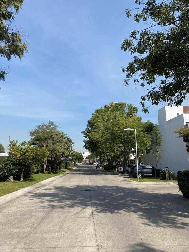 8 of 17: Calle principal Coto