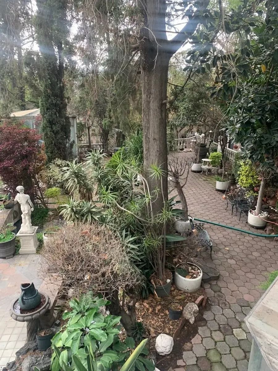5 de 34