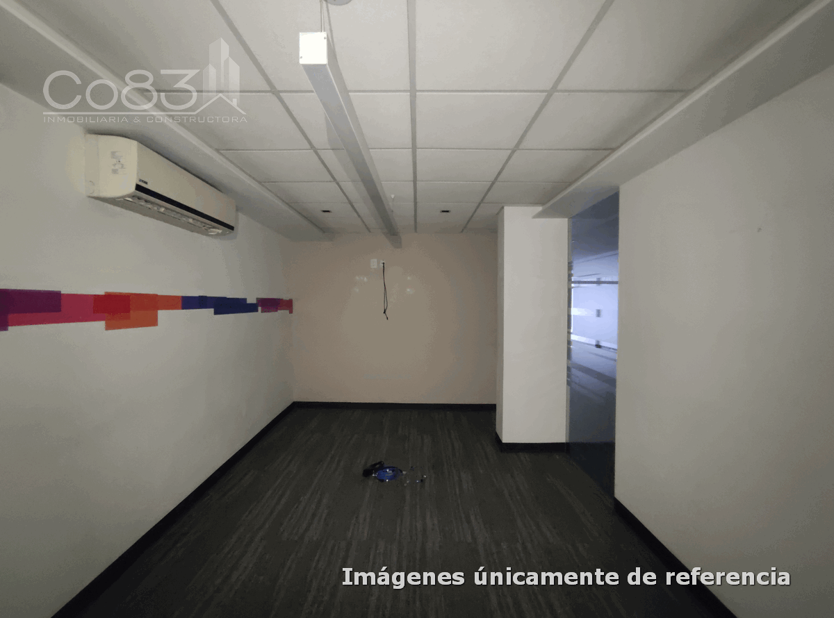 3 de 12