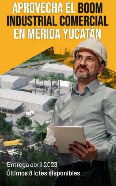 5 de 13
