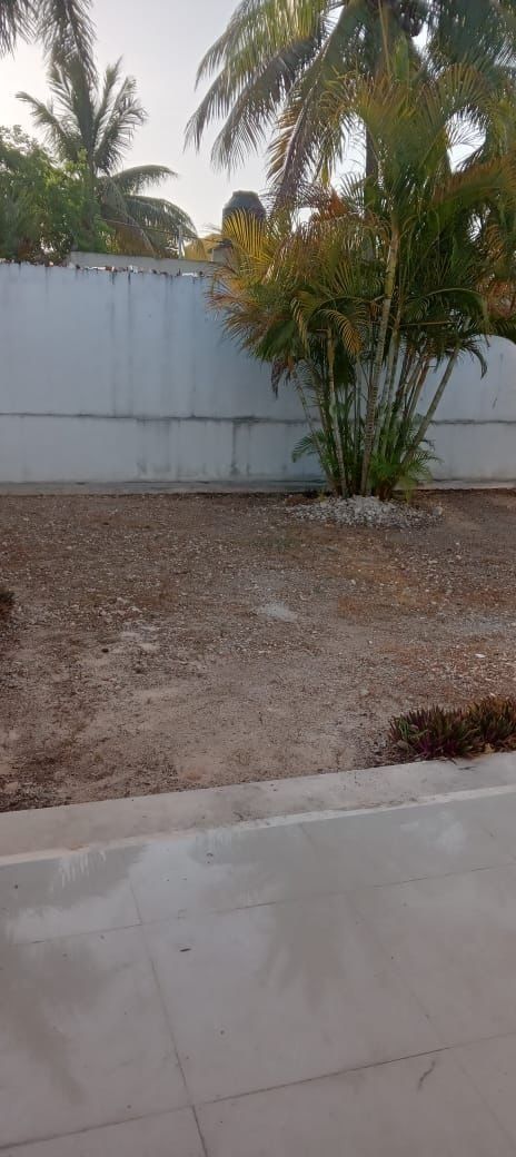 31 de 31