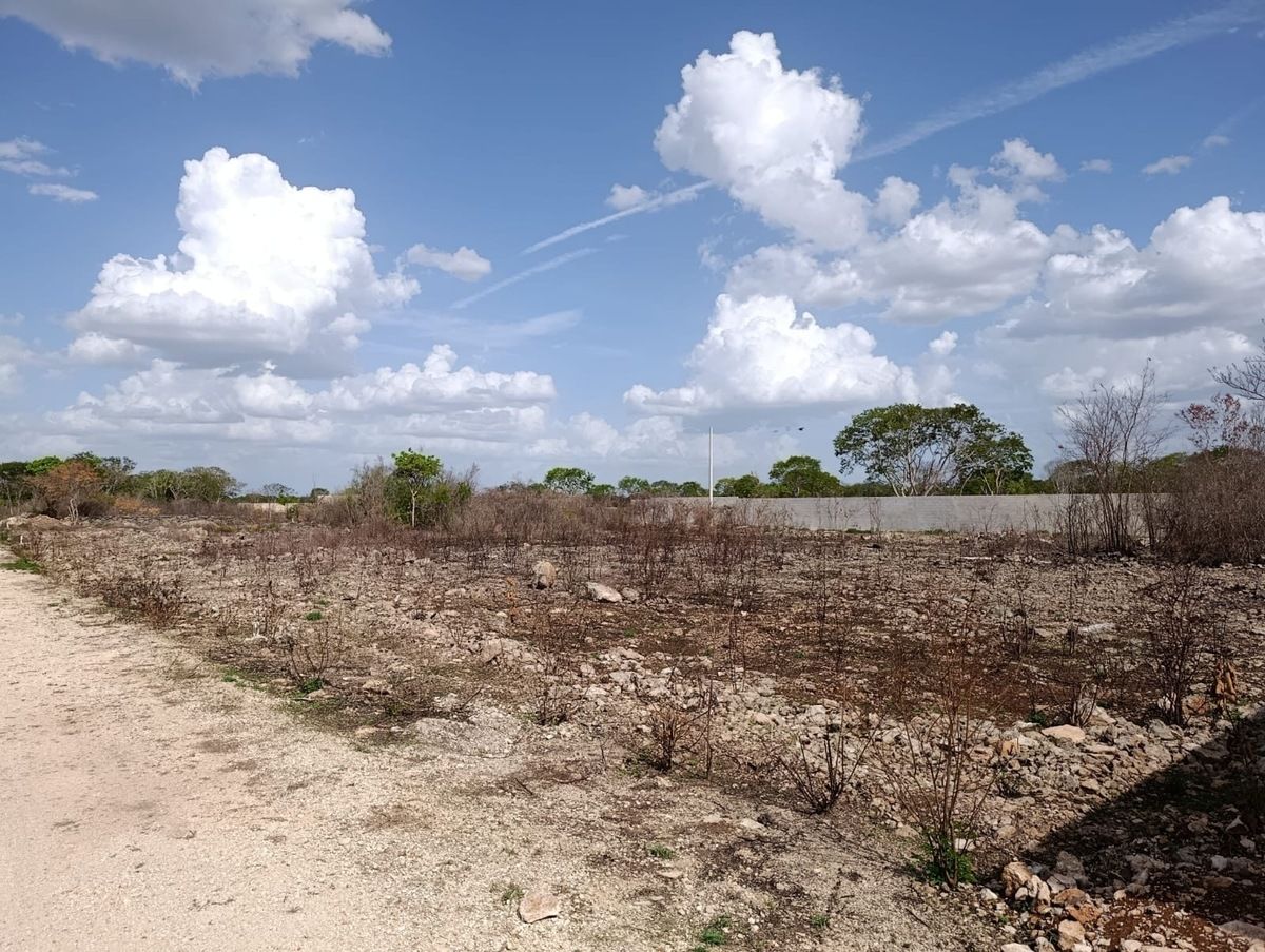 TERRENOS DE OPORTUNIDAD LISTOS PARA ESCRITURAR