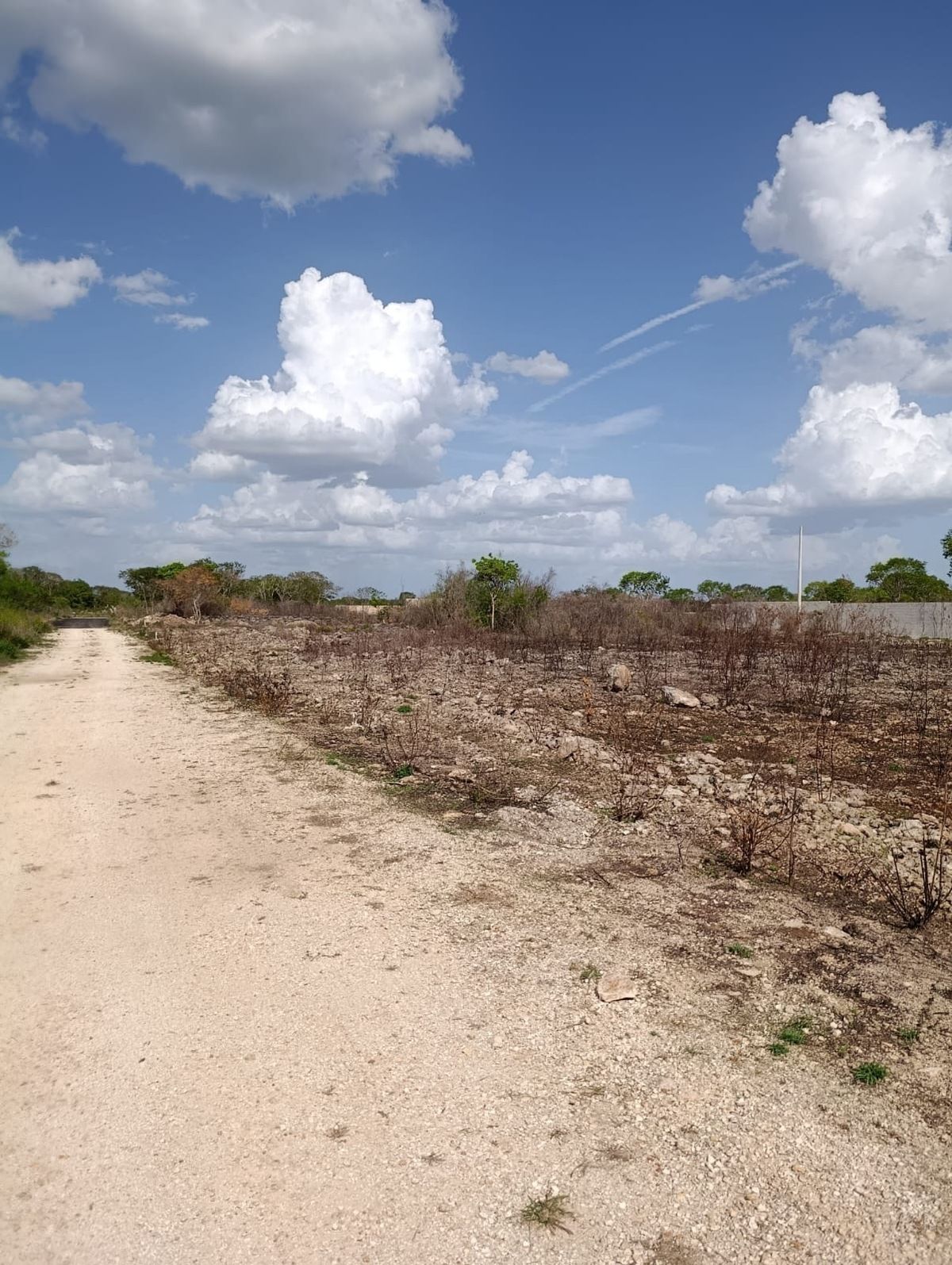 TERRENOS DE OPORTUNIDAD LISTOS PARA ESCRITURAR