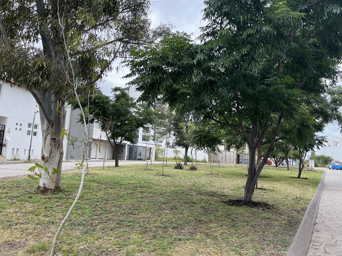 15 de 18: parque en la colonia