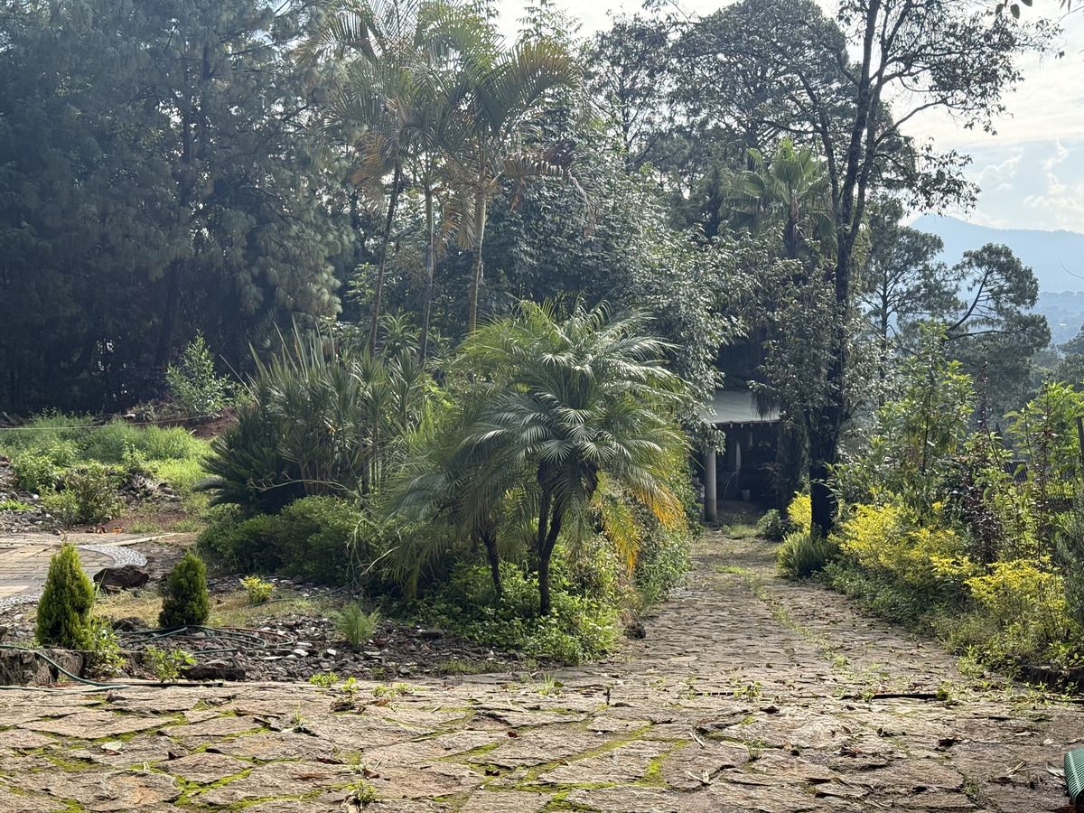 5 de 13