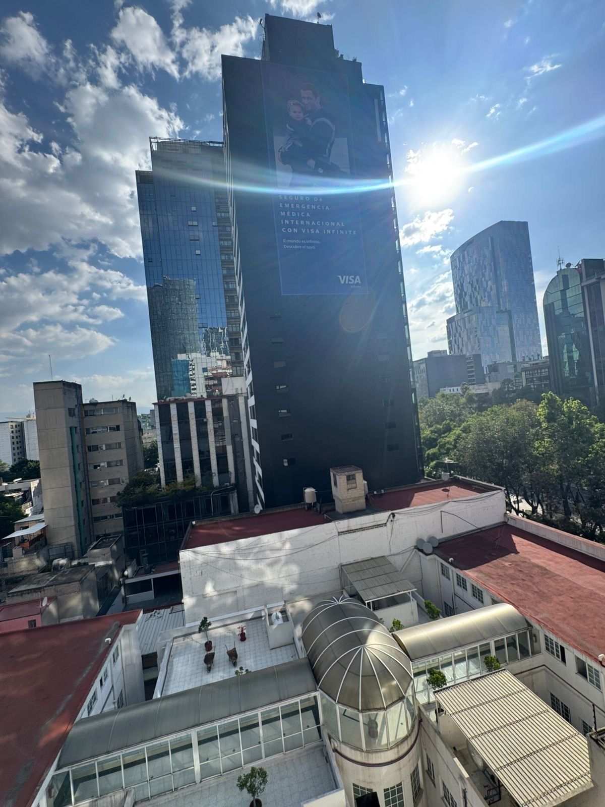 2 de 31