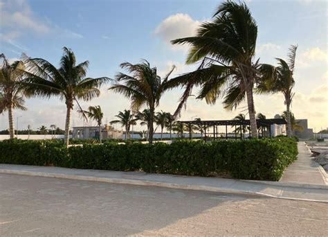 Terreno Residencial en Venta en Puerto Esmeralda, Chelem – A Solo 2 Cuadras del - foto 5