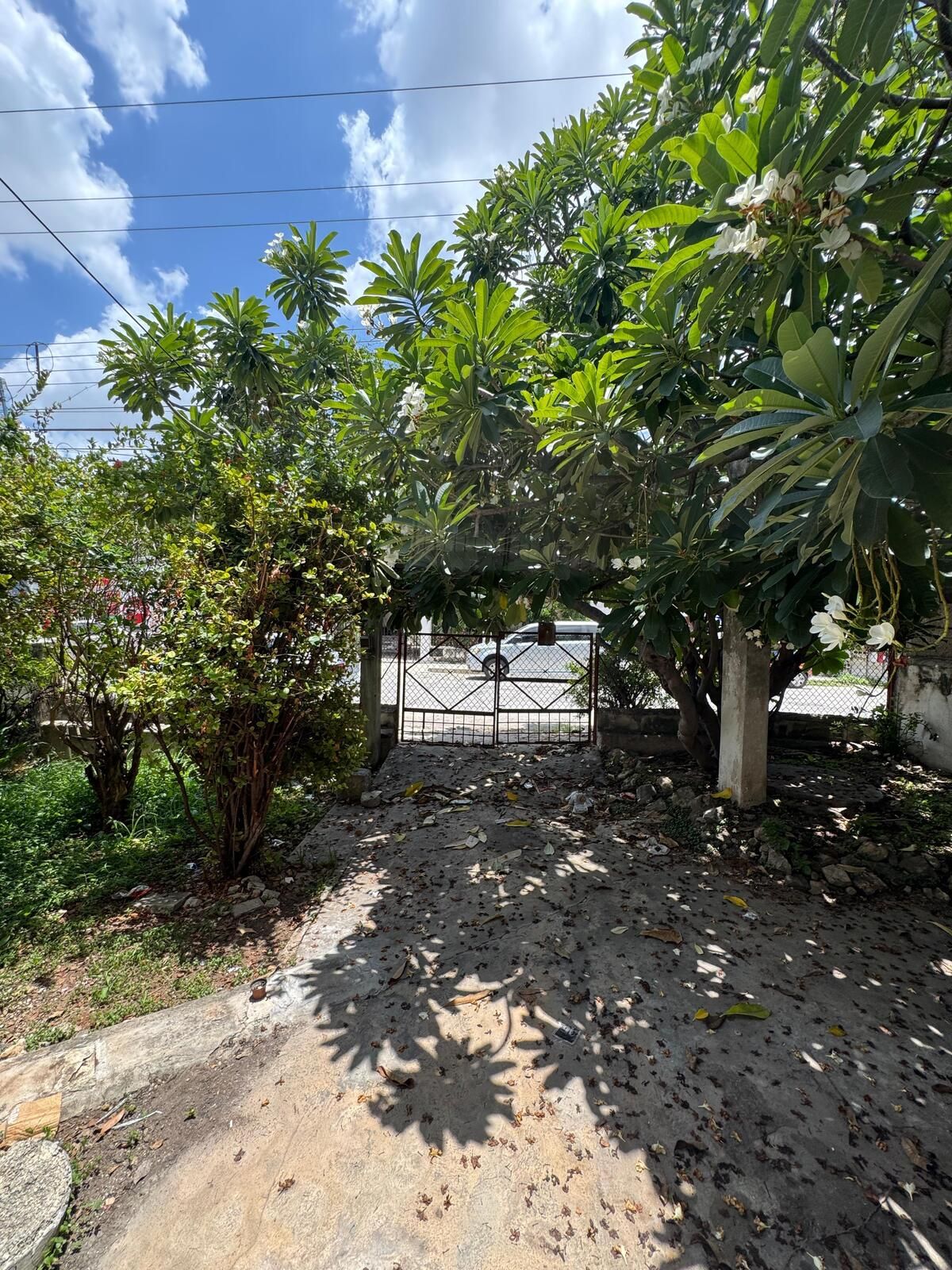 2 de 24