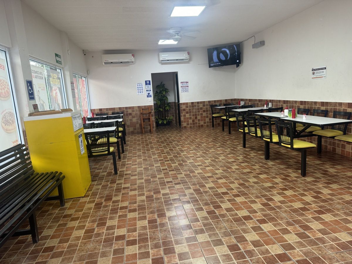 1 de 29