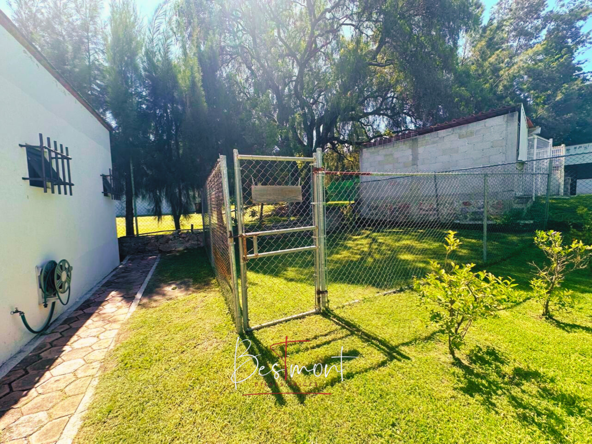 34 de 45: Huerto en Jardín