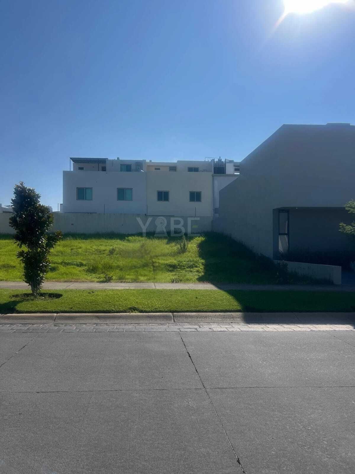 8 de 13