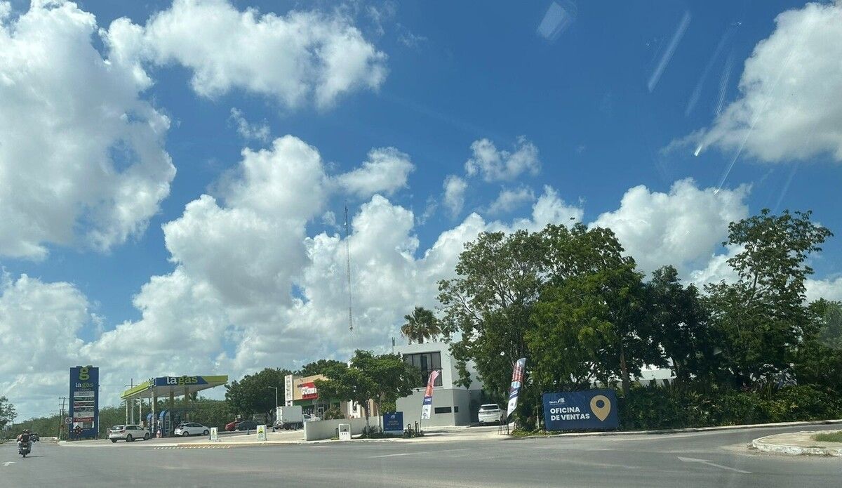5 de 5