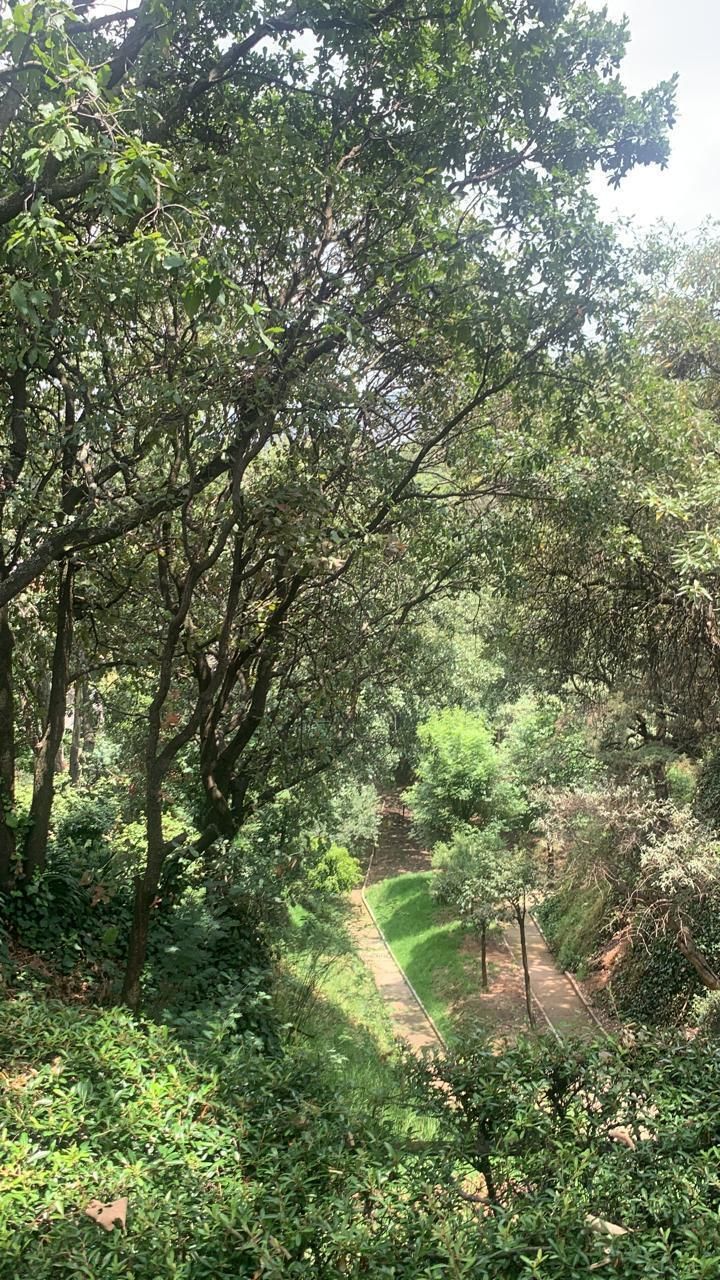 33 de 36