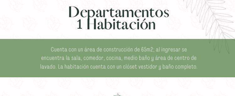5 de 12