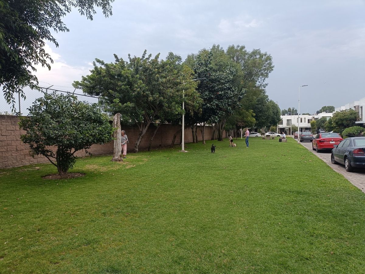 4 de 50