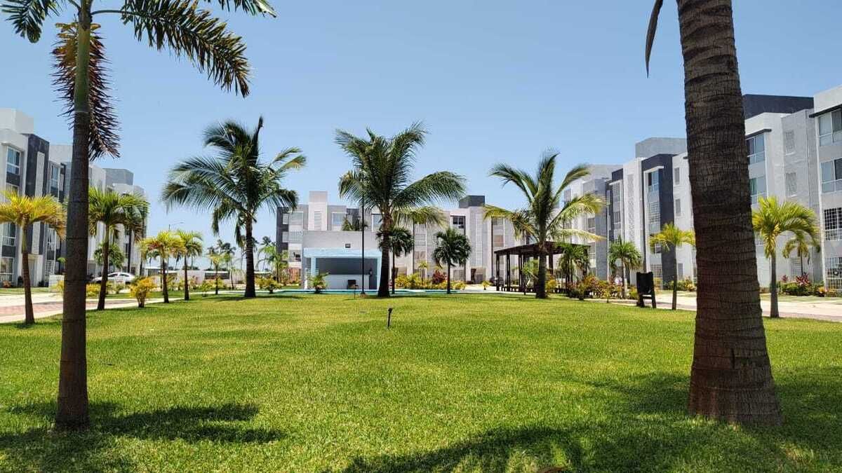 27 de 27