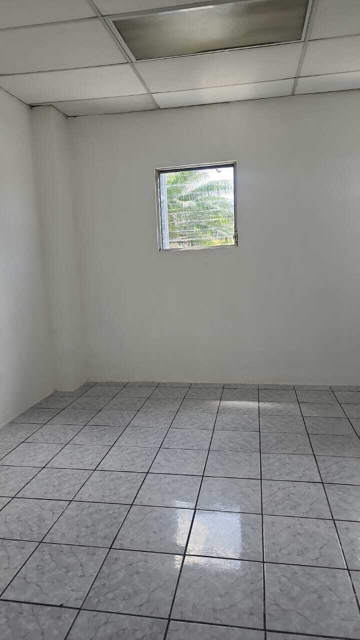 11 de 11