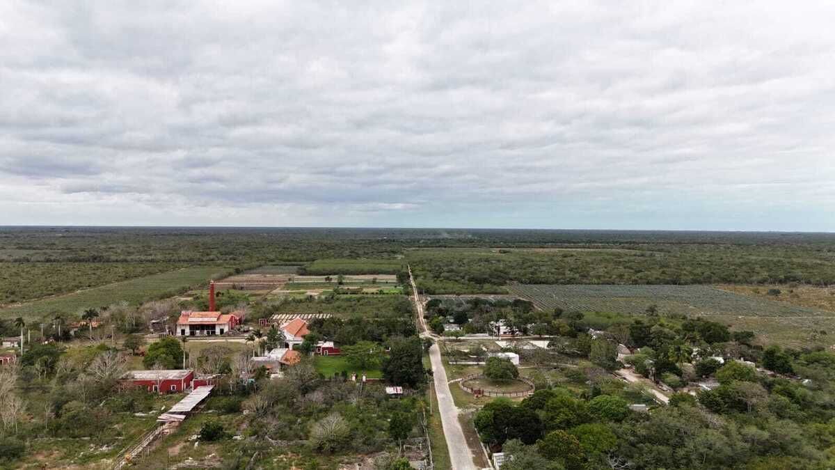 1 de 4