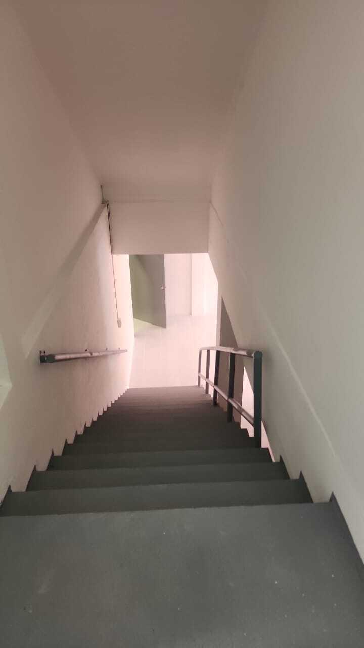 6 de 11