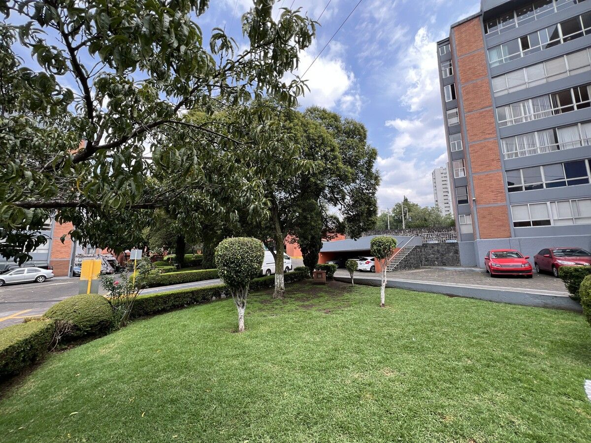 8 de 21