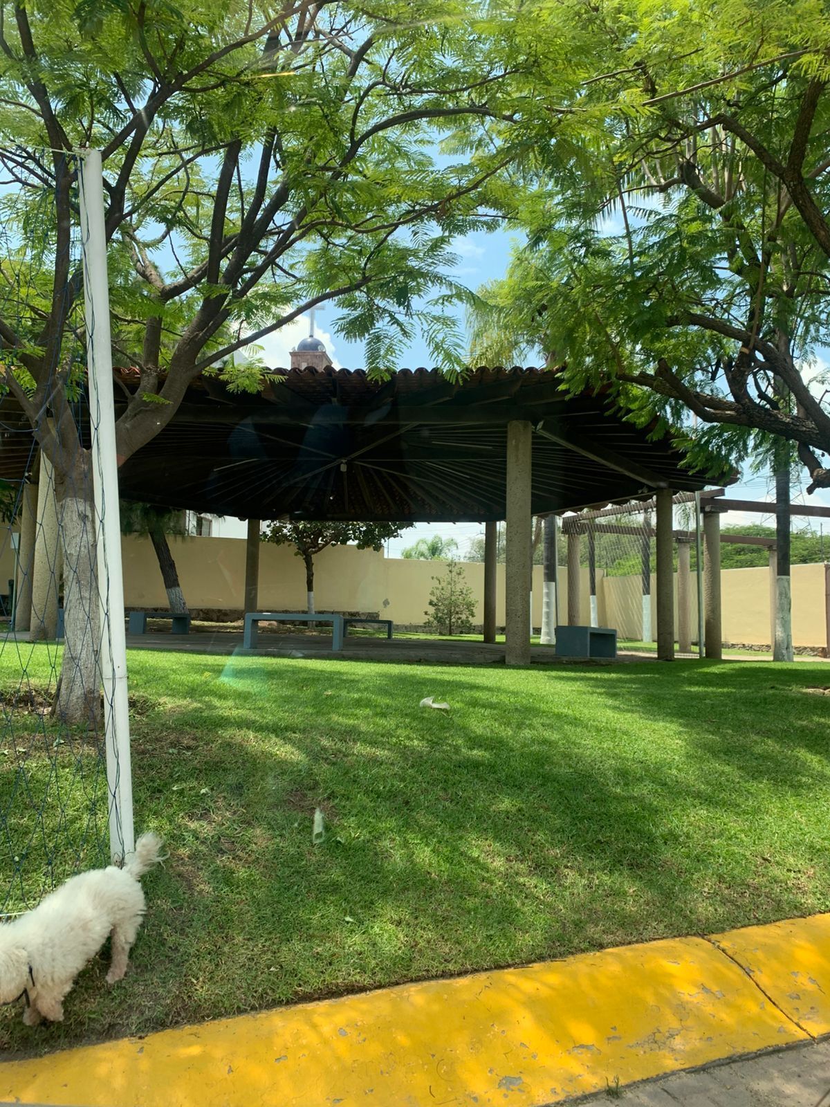 3 de 13
