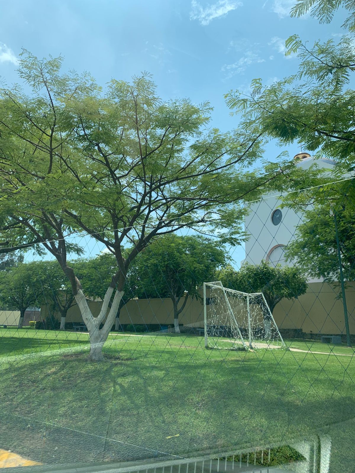 9 de 13