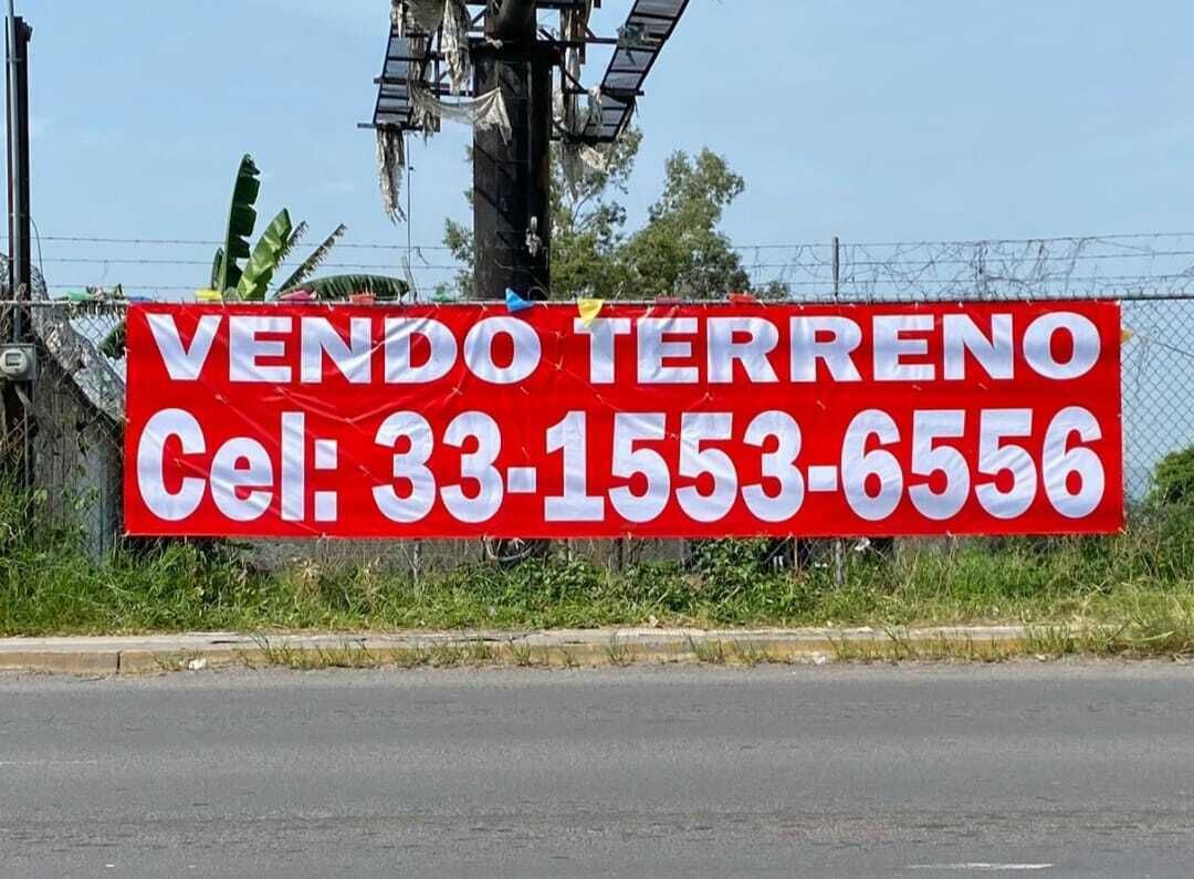 4 de 6