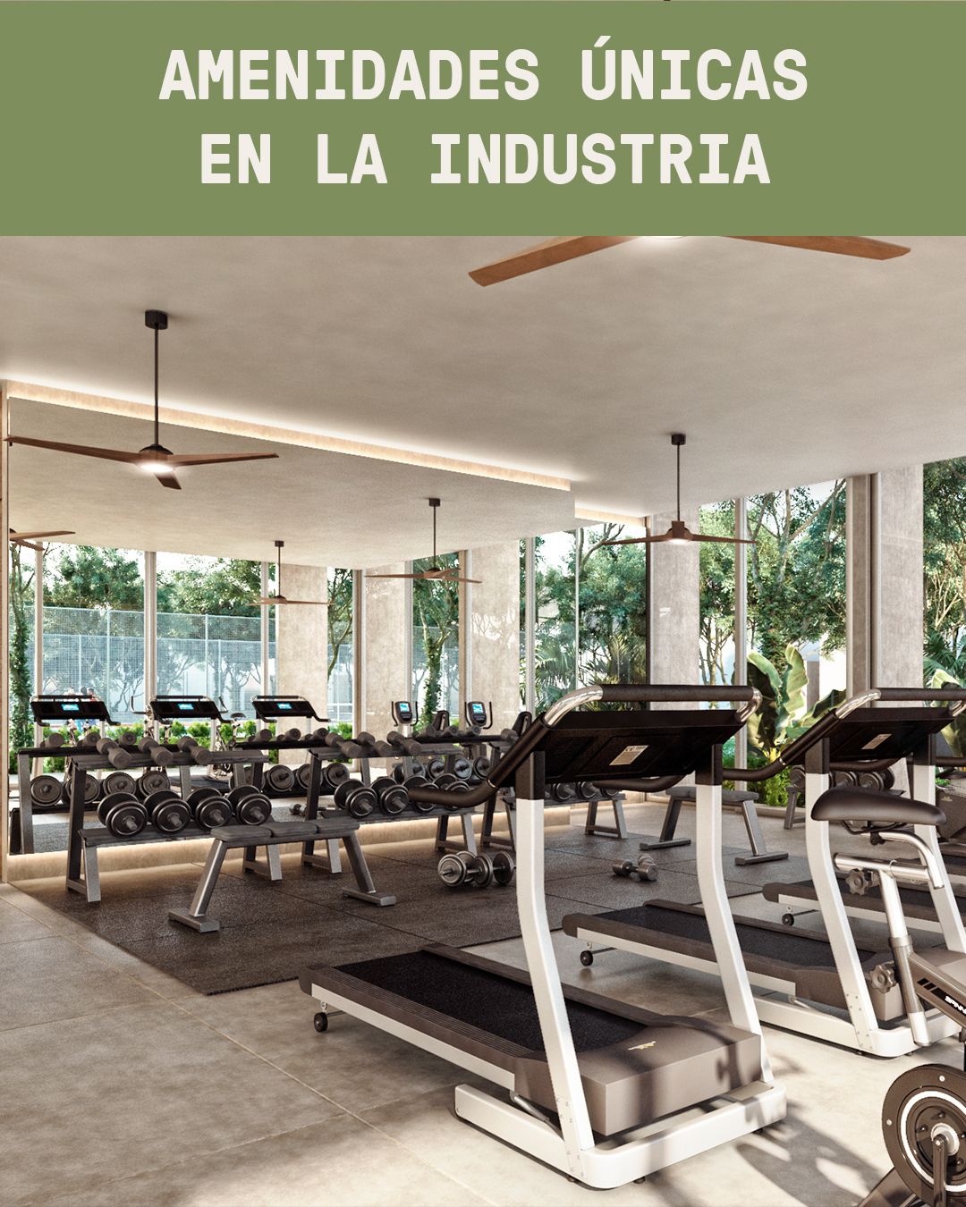 2 de 14