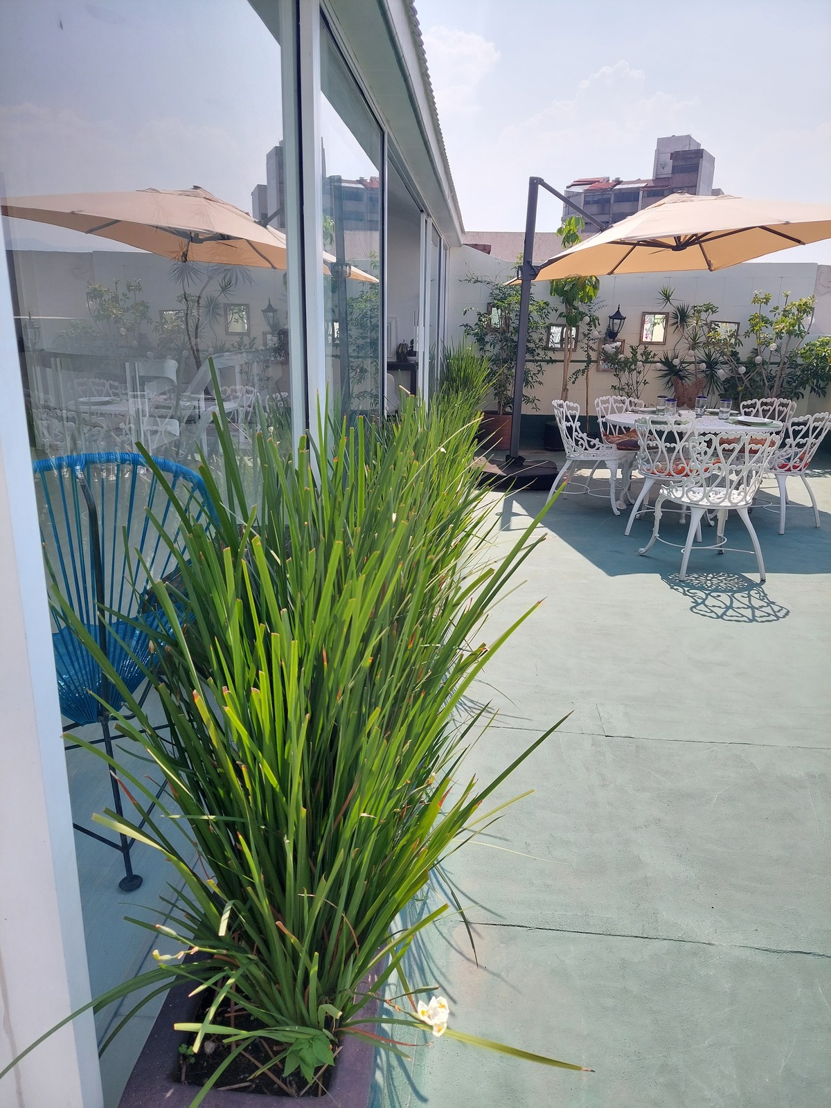 3 de 24: Gran terraza llena de sol y luz.