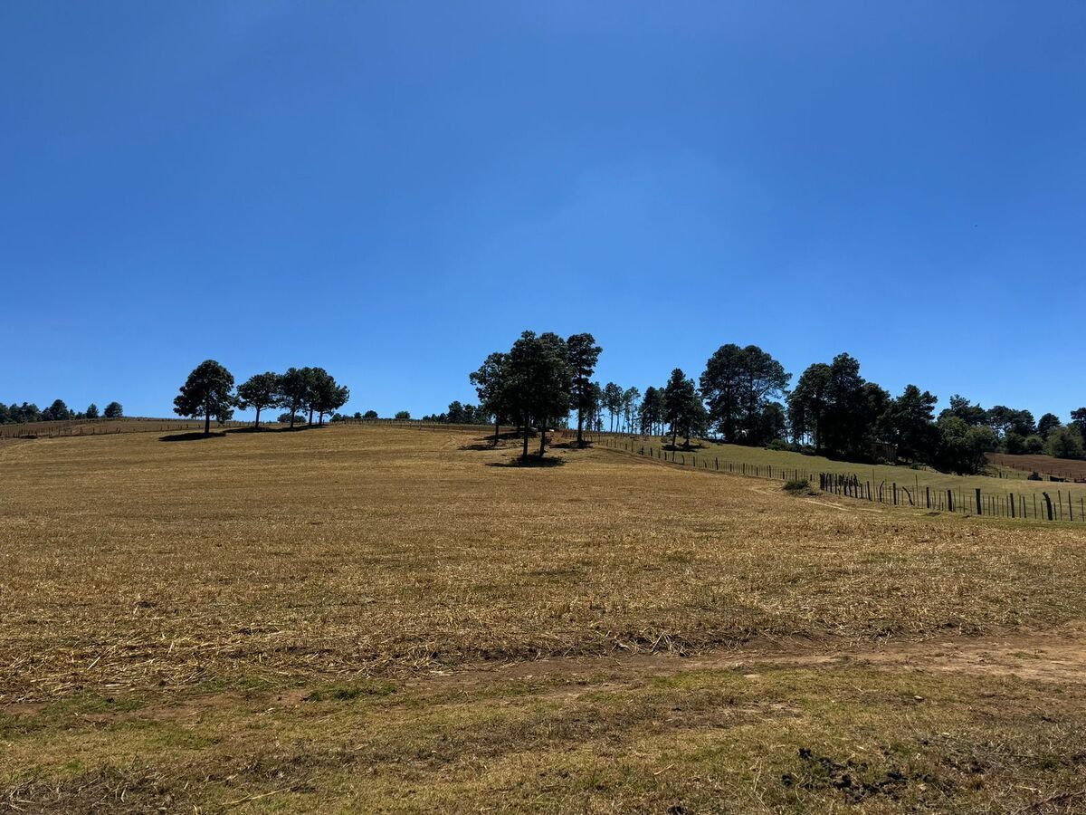 3 de 24