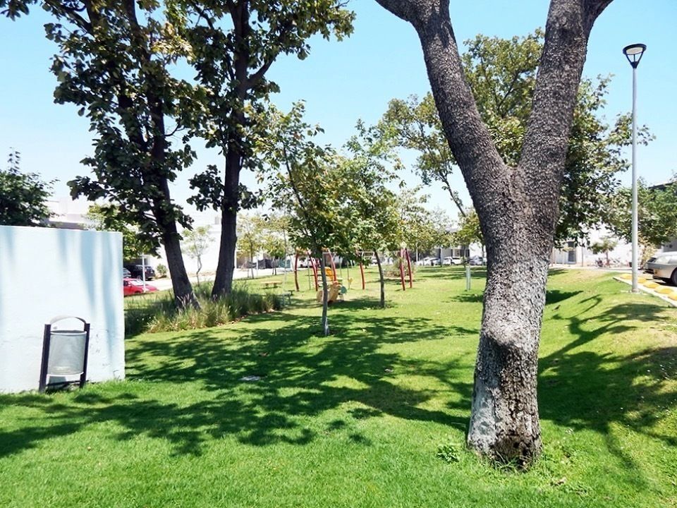 5 de 6