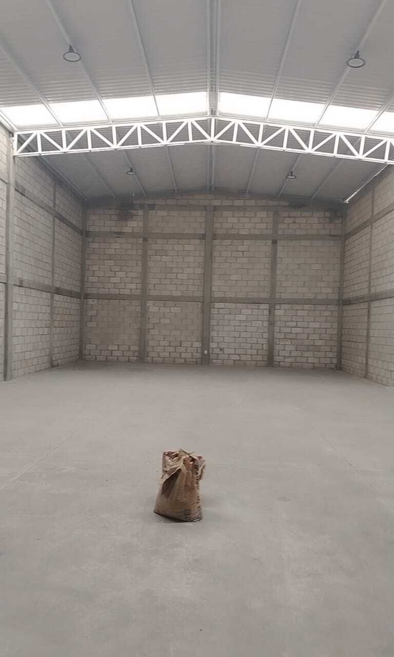 7 of 8