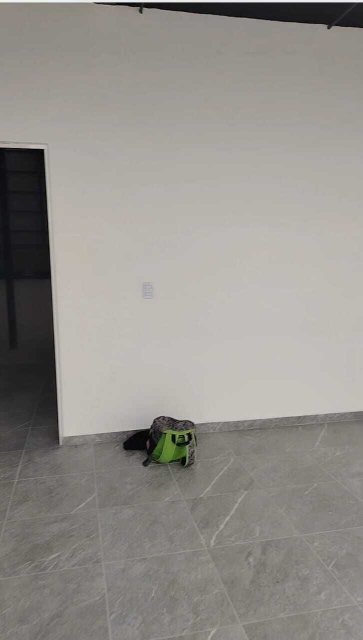 2 of 11