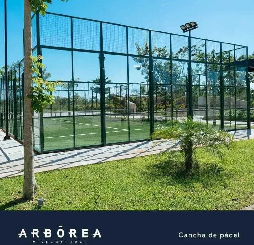 4 de 6