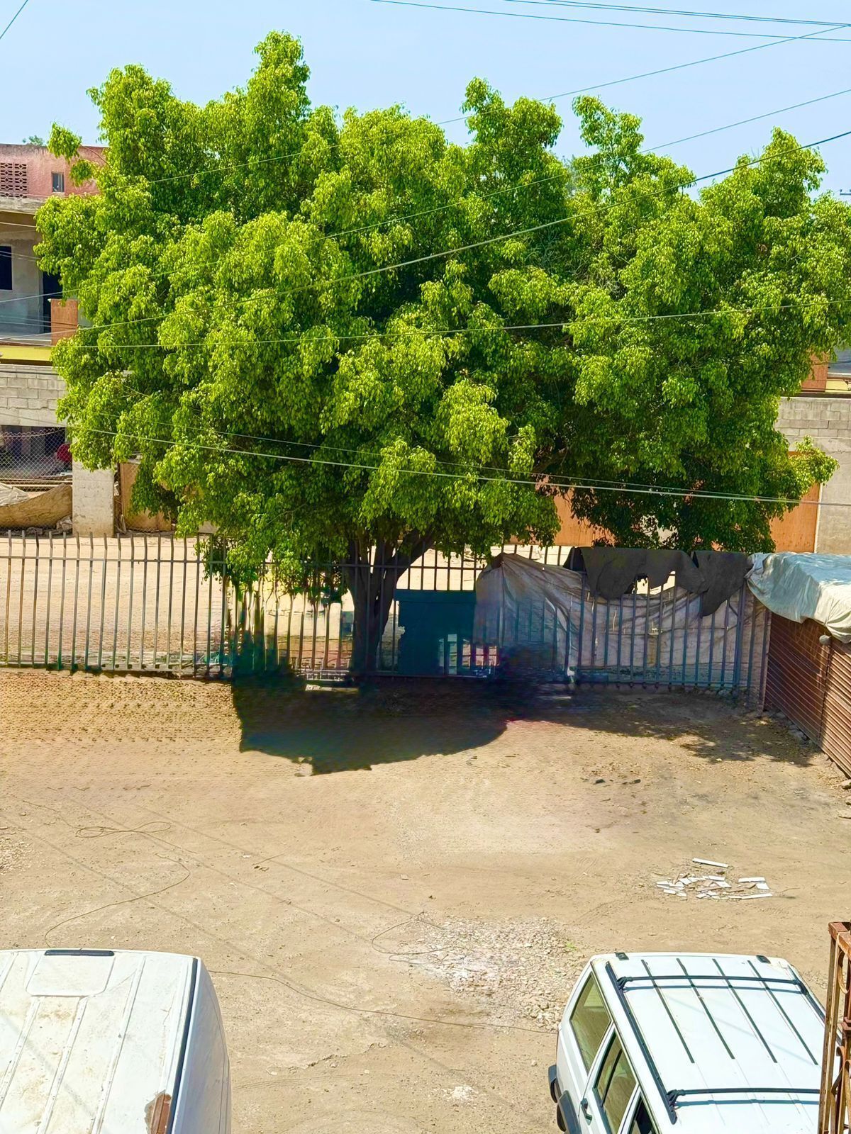 3 de 12