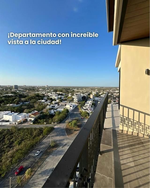 2 de 12