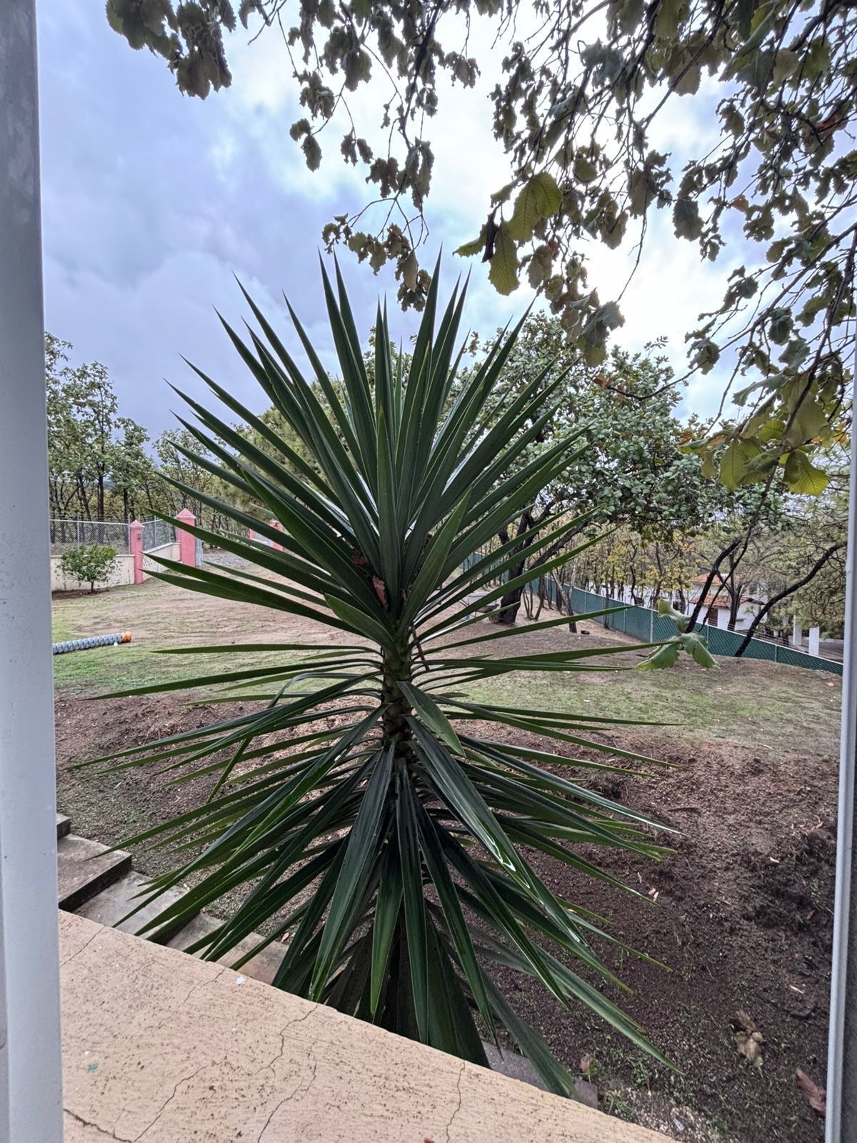 33 de 50