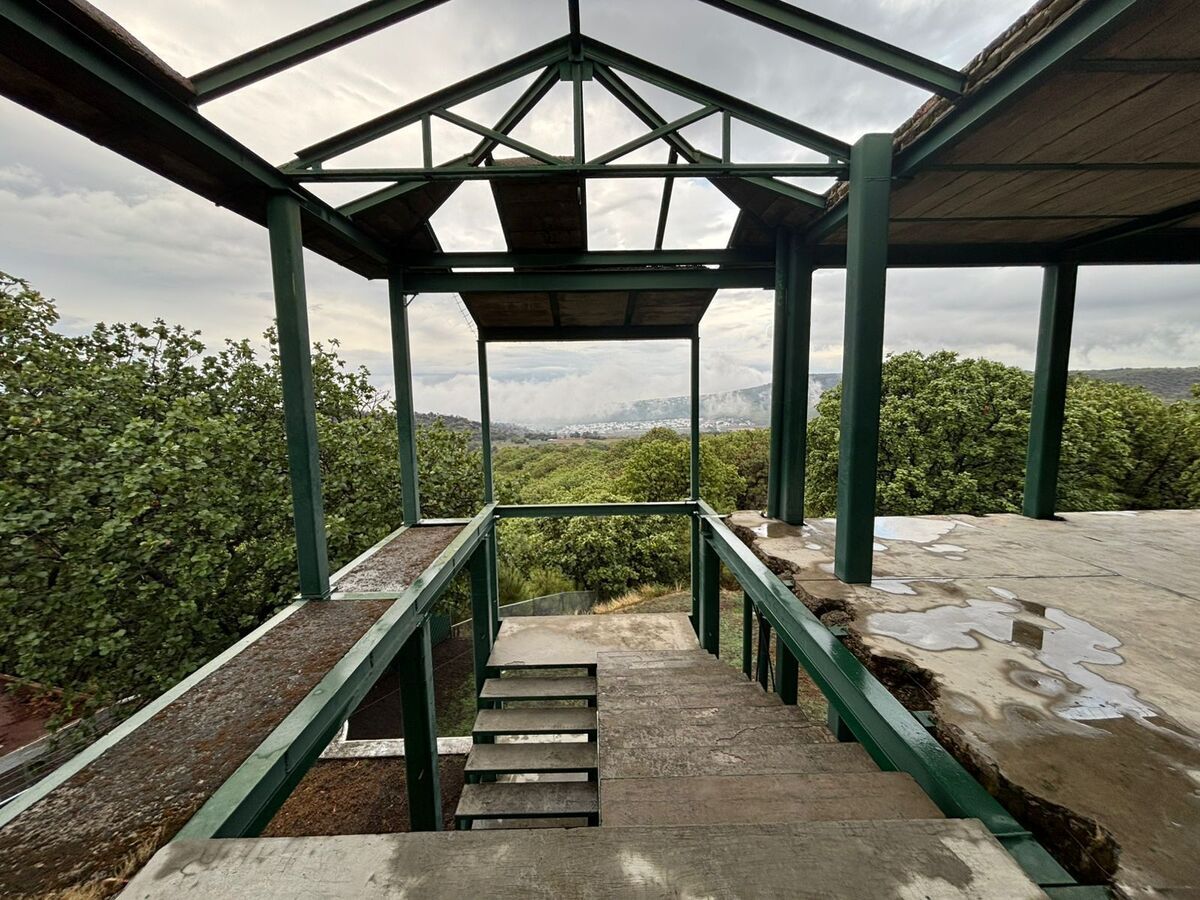 36 de 50