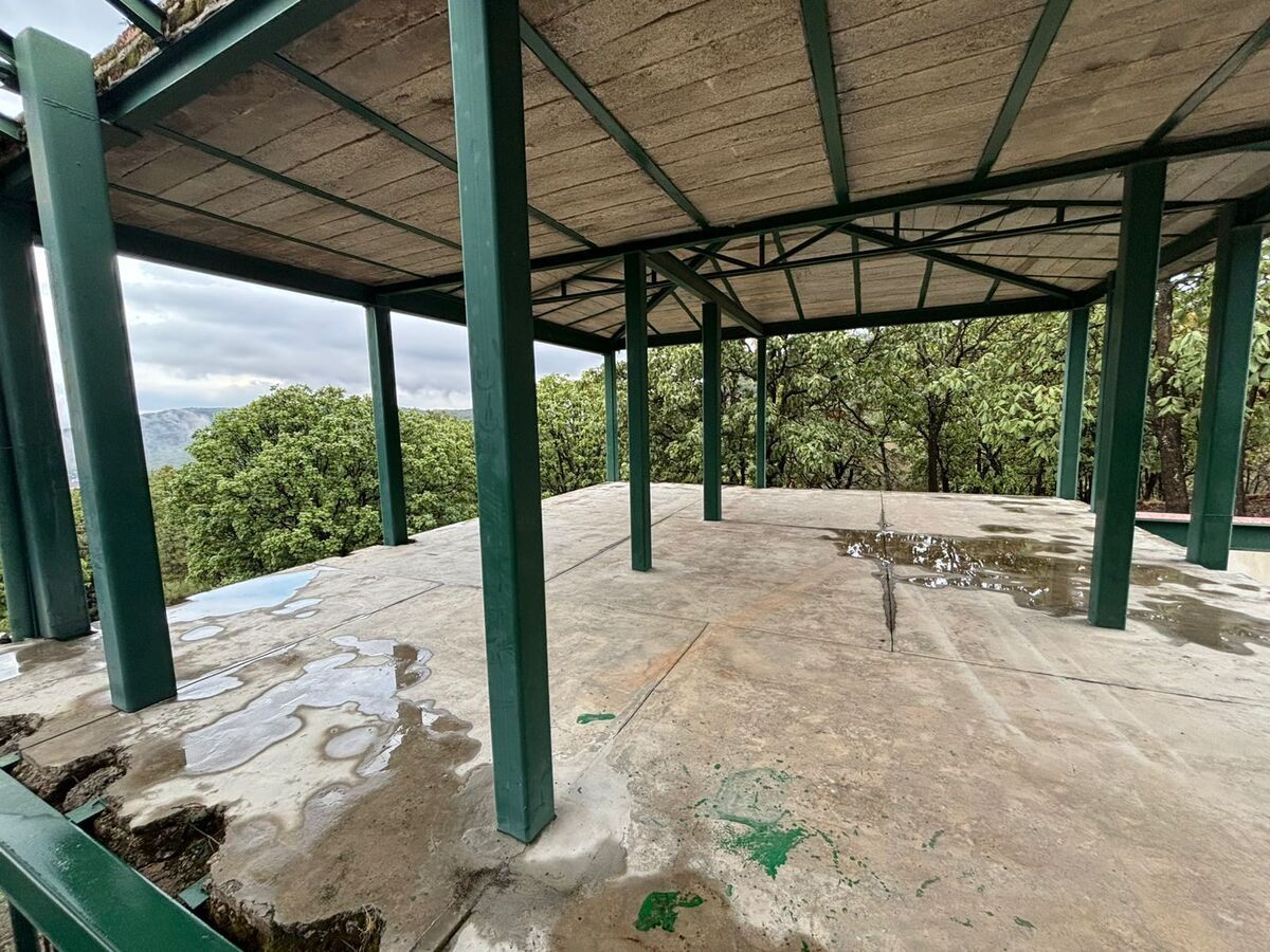 37 de 50