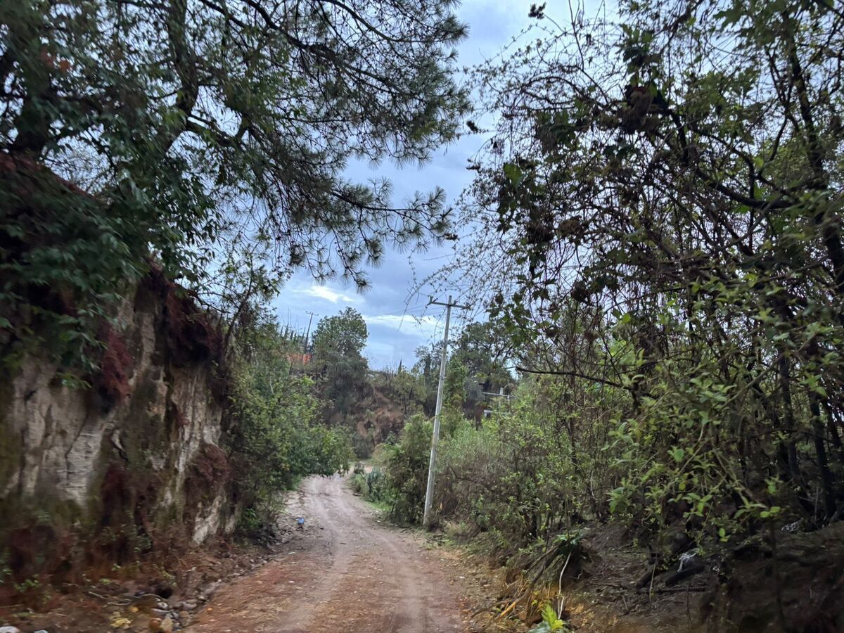 48 de 50