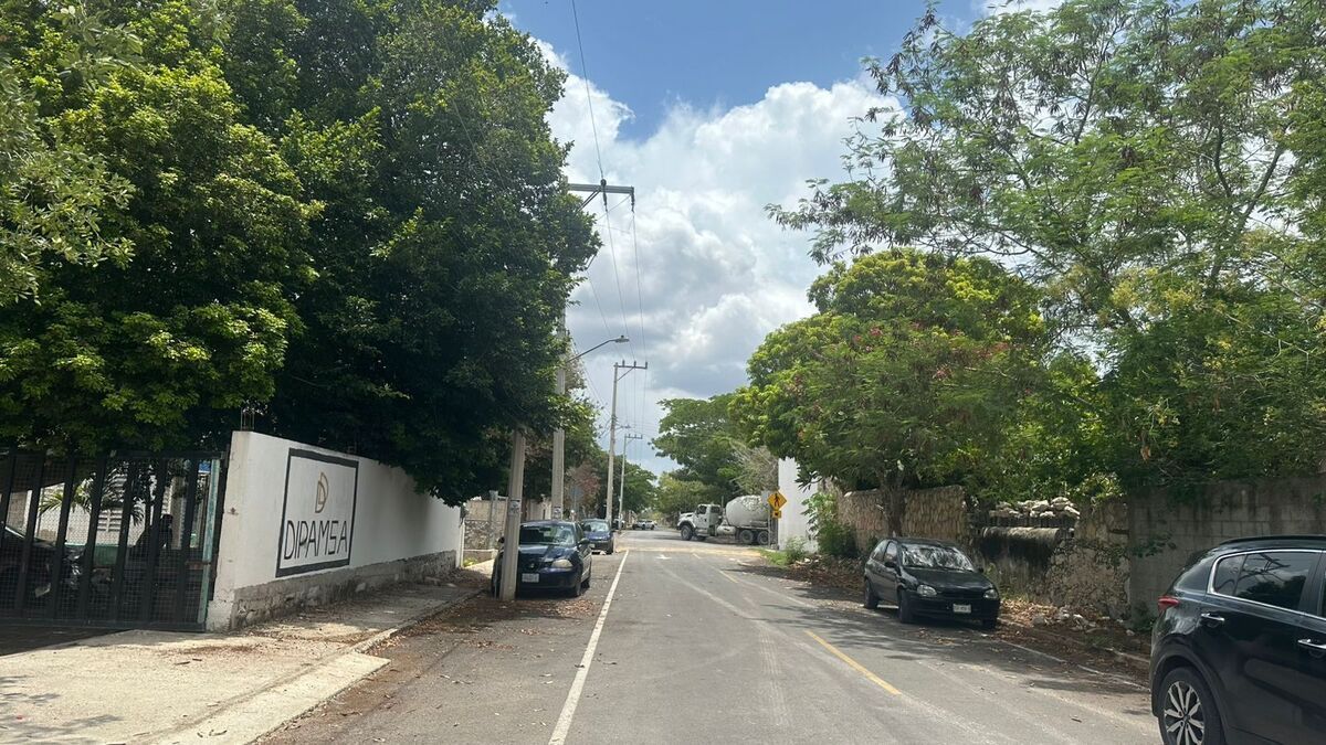 5 de 7