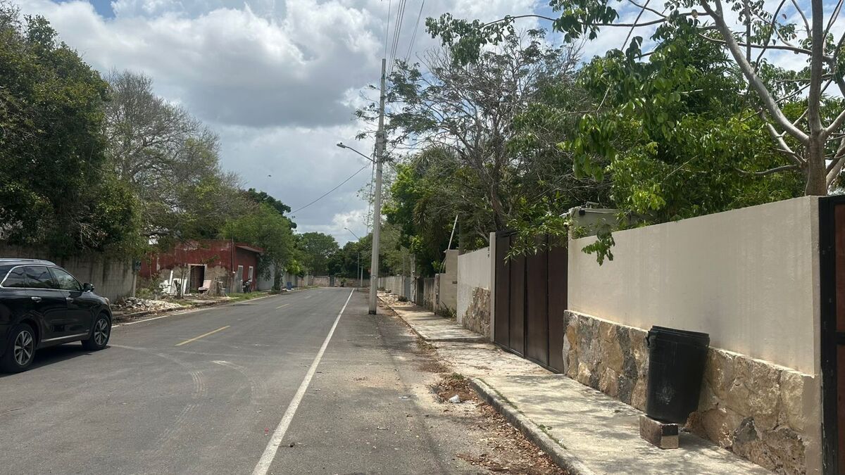7 de 7