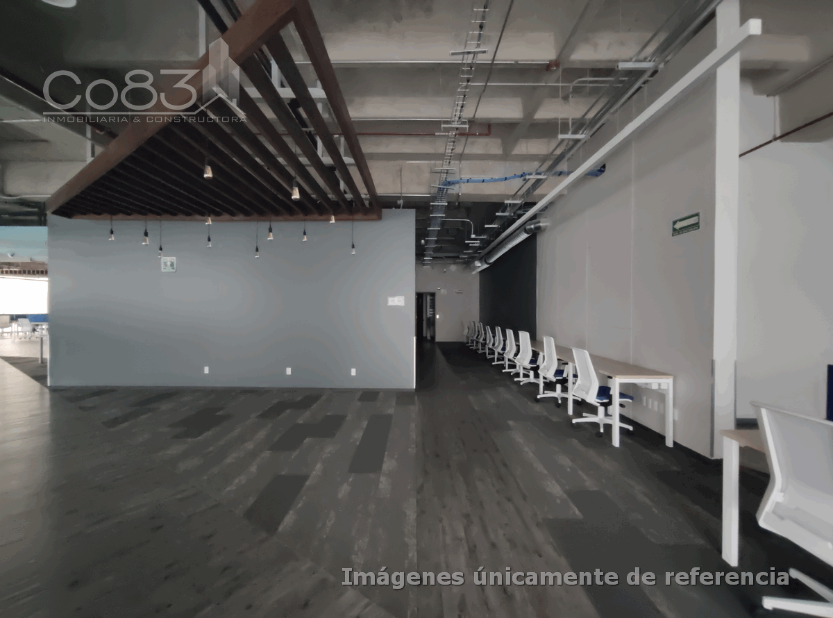 5 de 12
