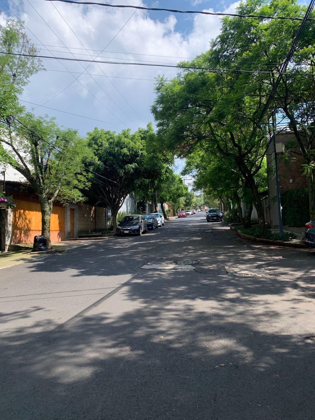 14 de 15