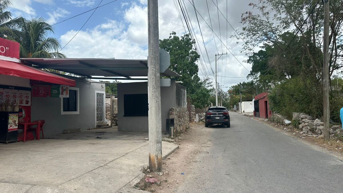 5 de 10