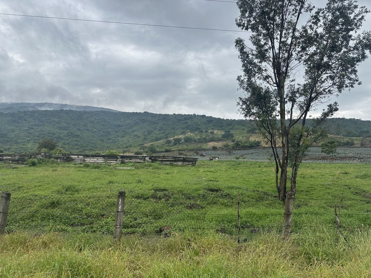 Terreno en Venta Carretera Guadalajara - Ocotlán - foto 1